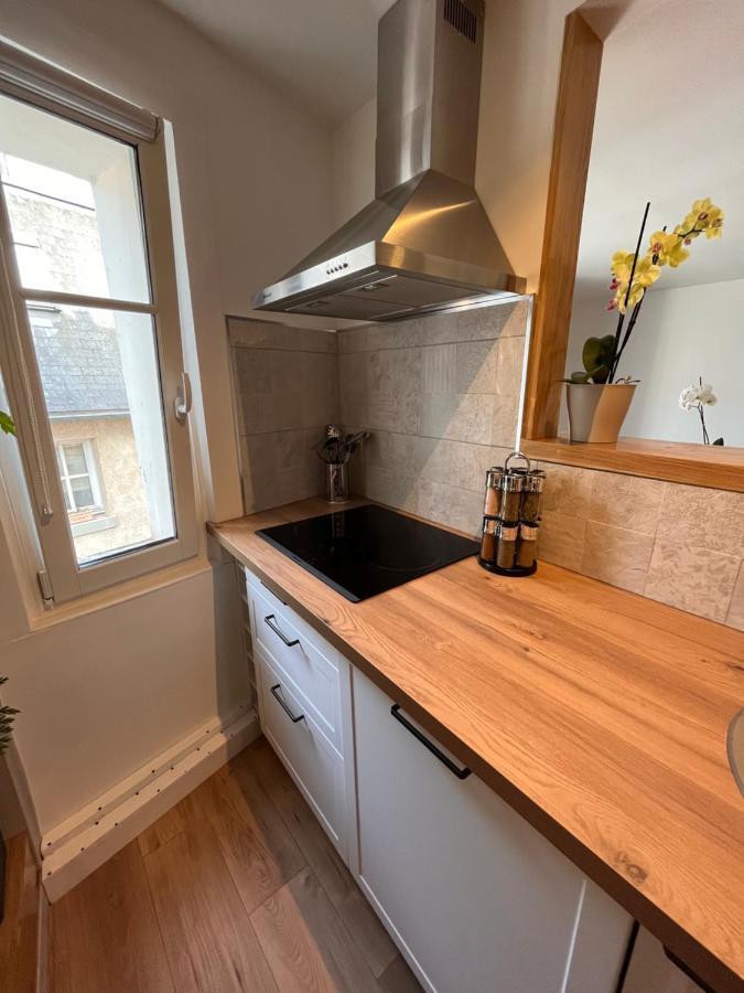 • Bel Appartement - Centre Historique De פואטייה מראה חיצוני תמונה