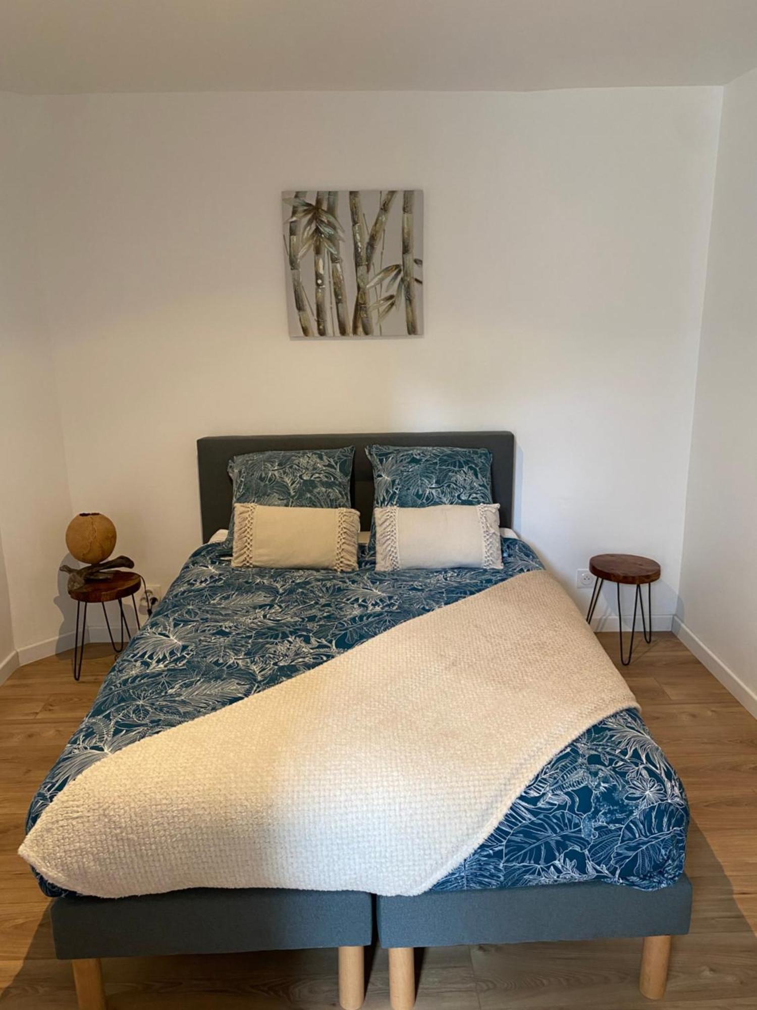 • Bel Appartement - Centre Historique De פואטייה מראה חיצוני תמונה
